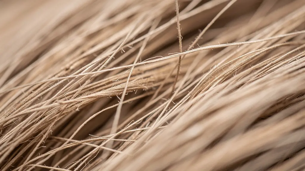 Vue microscopique de fibres d'amiante montrant leur taille infinitésimale par rapport à d'autres particules